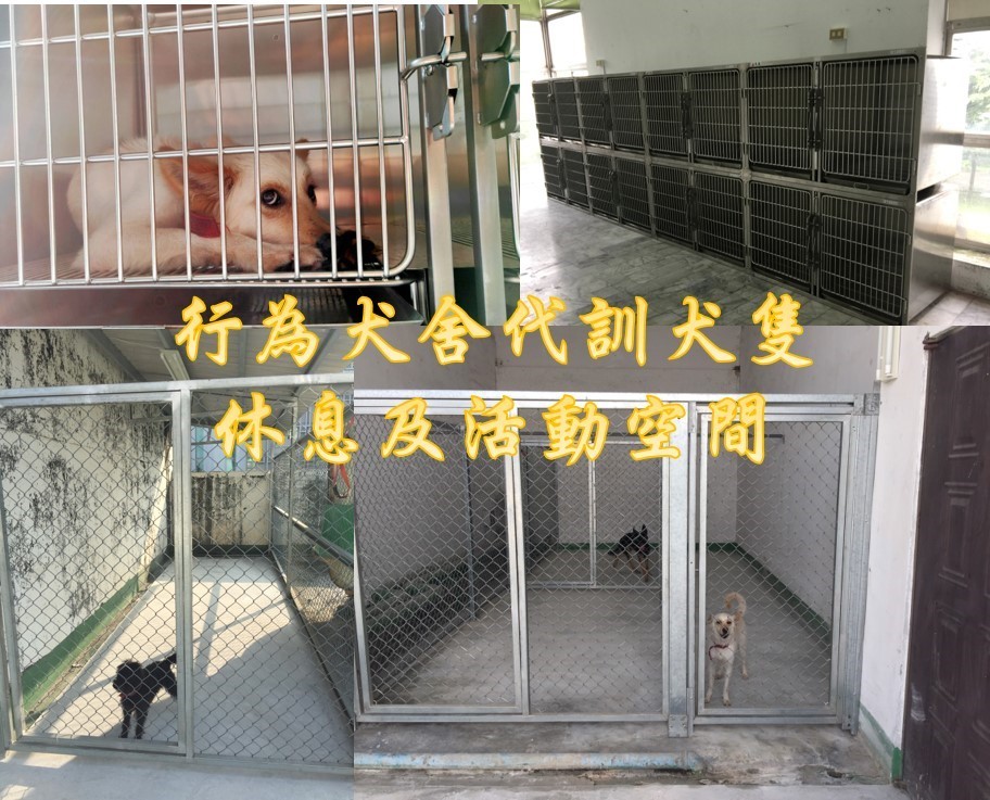 行為犬舍