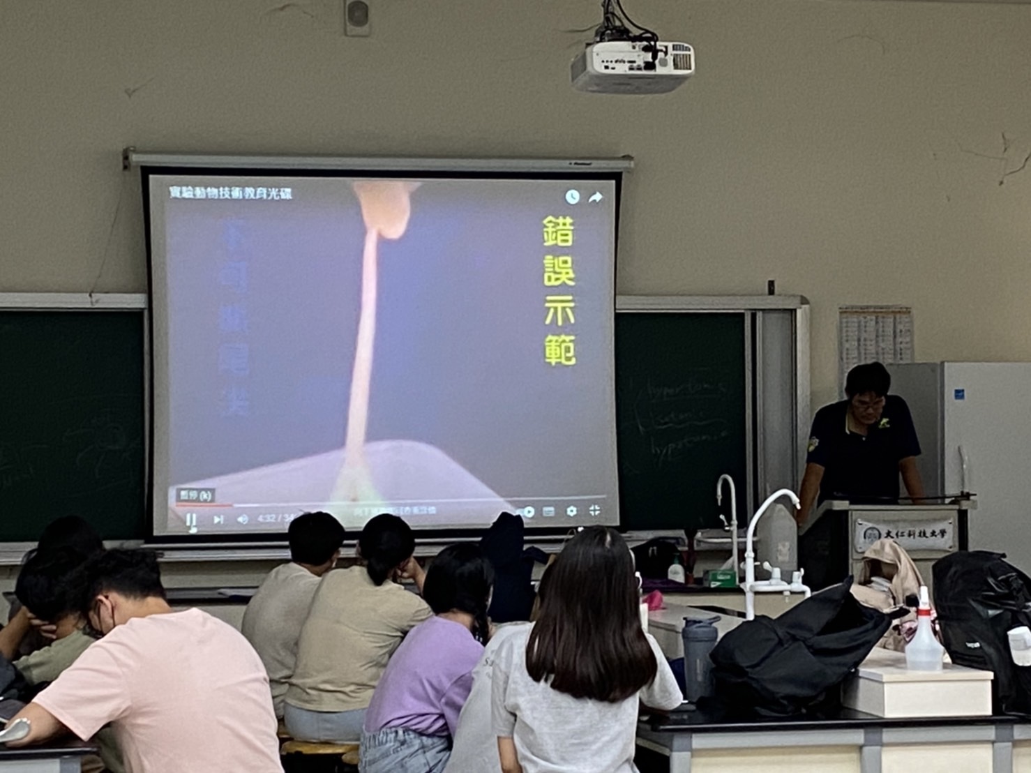 06