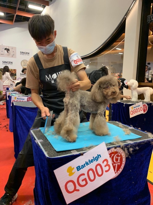 圖片說明