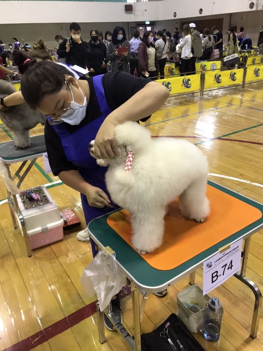 圖片說明