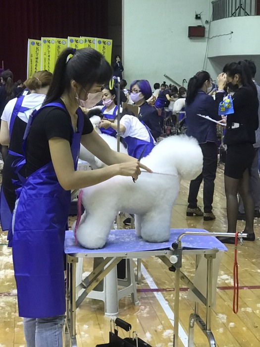 圖片說明