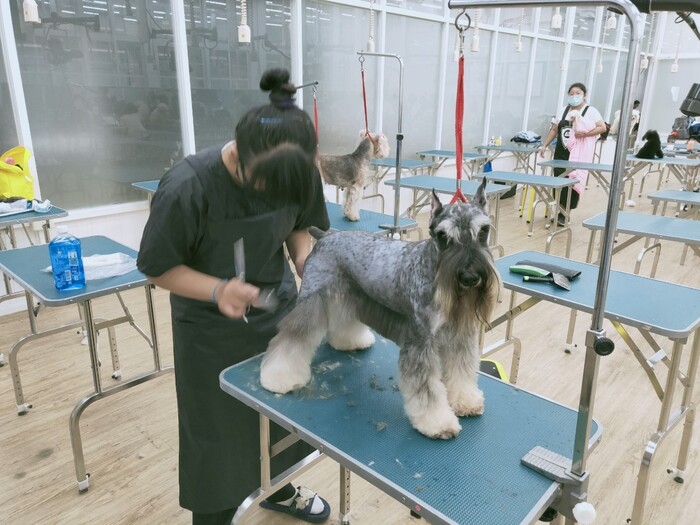 圖片說明
