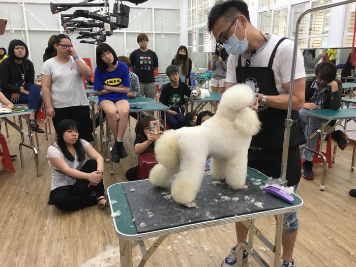 圖片說明