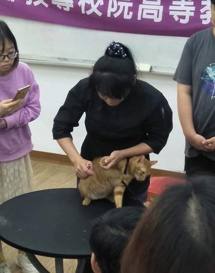 圖片說明