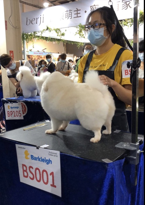 圖片說明
