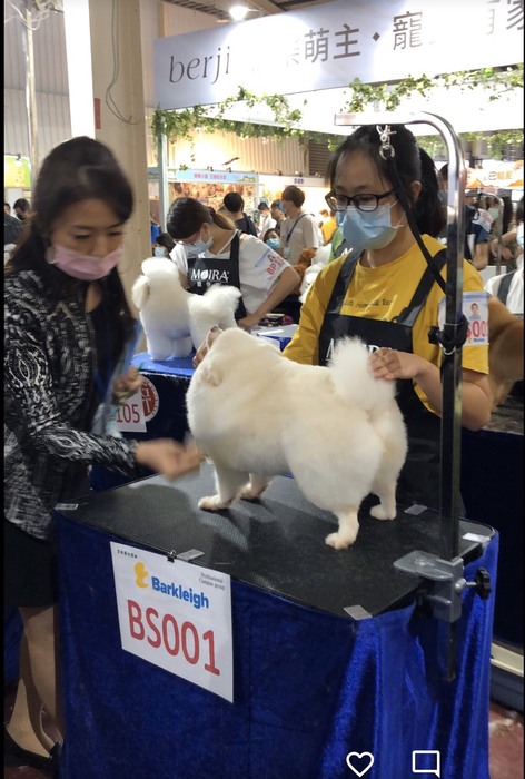 圖片說明