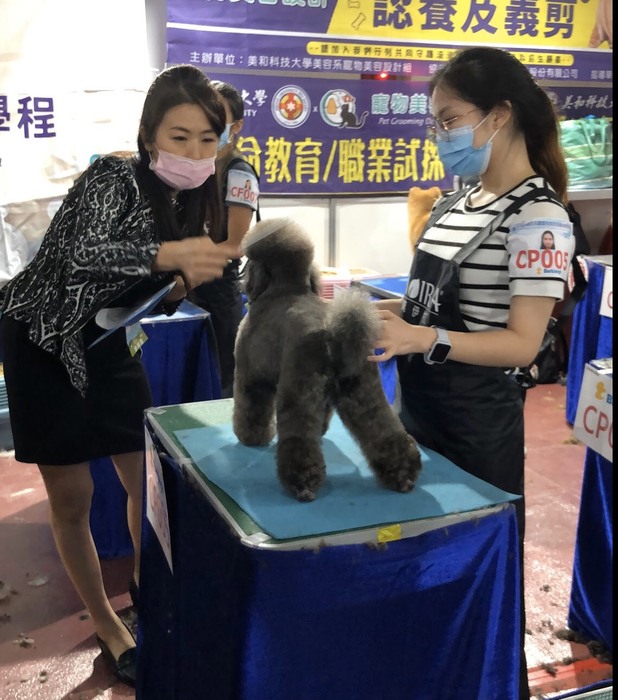 圖片說明