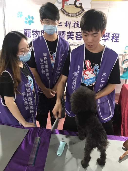 圖片說明
