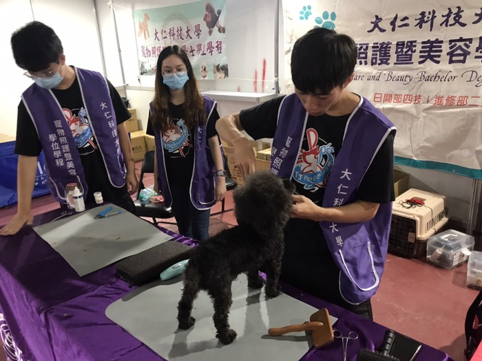 圖片說明
