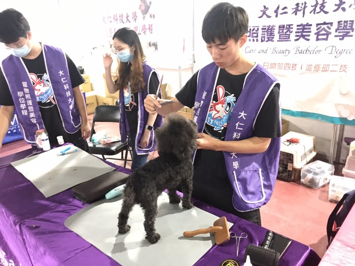 圖片說明