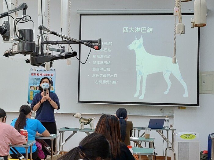 圖片說明