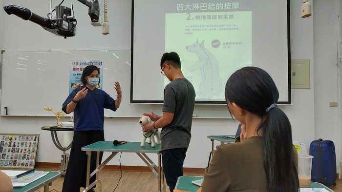 圖片說明
