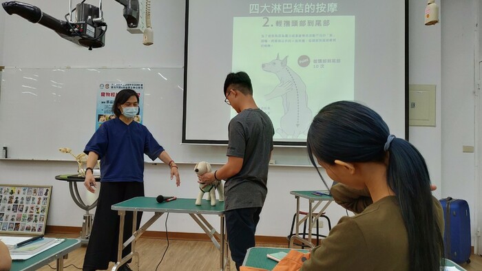 圖片說明