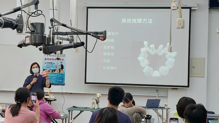 圖片說明