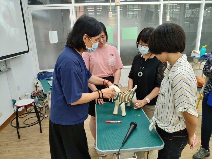 圖片說明