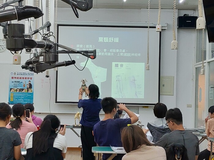 圖片說明