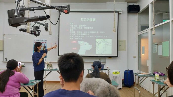 圖片說明