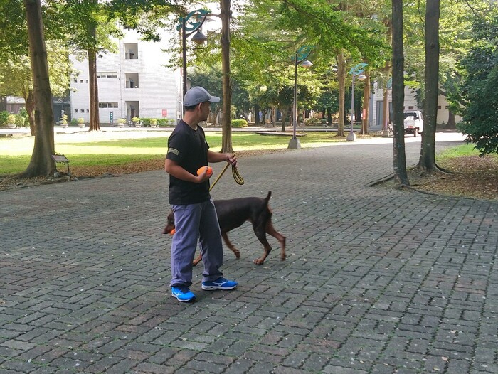 圖片說明