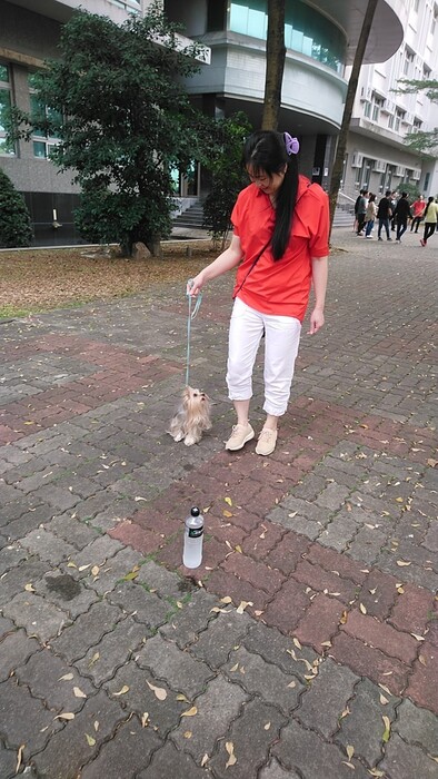 圖片說明