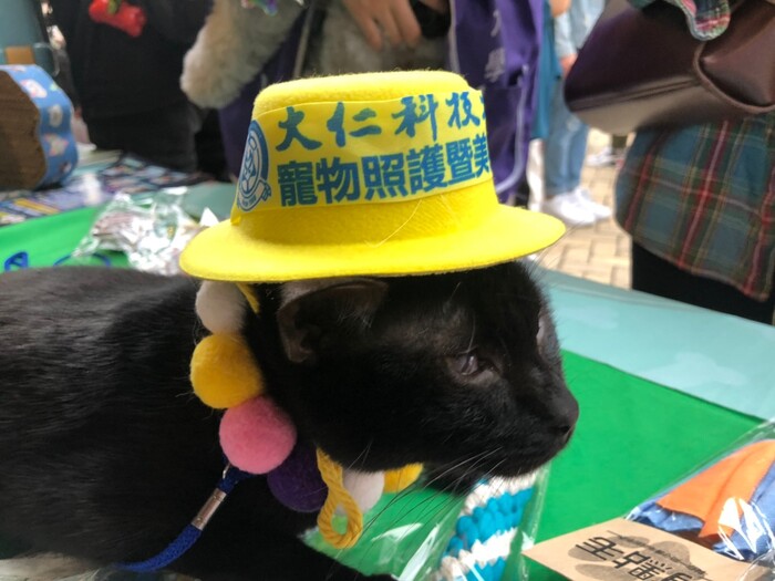 圖片說明