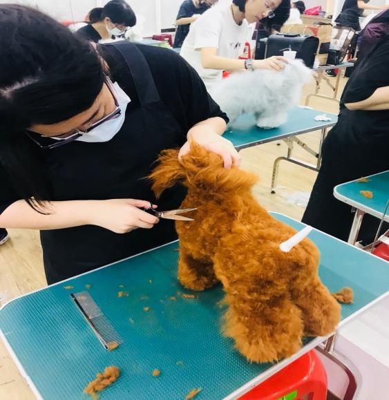 圖片說明