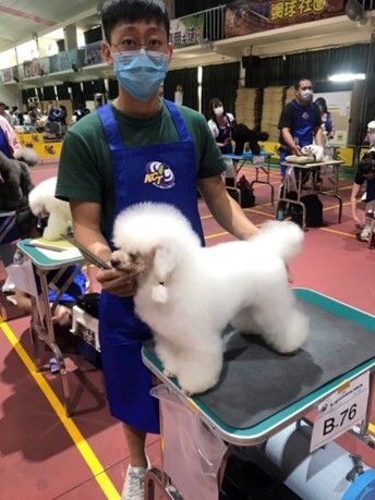 圖片說明