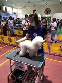 圖片說明