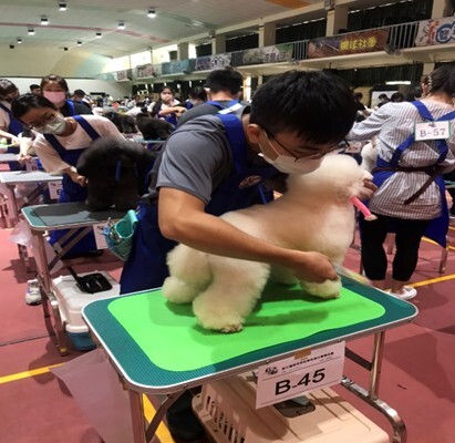圖片說明