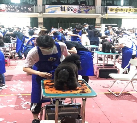 圖片說明